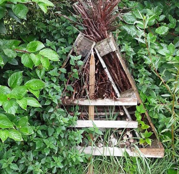 مبيت وإفطار Hawthorn Lodge