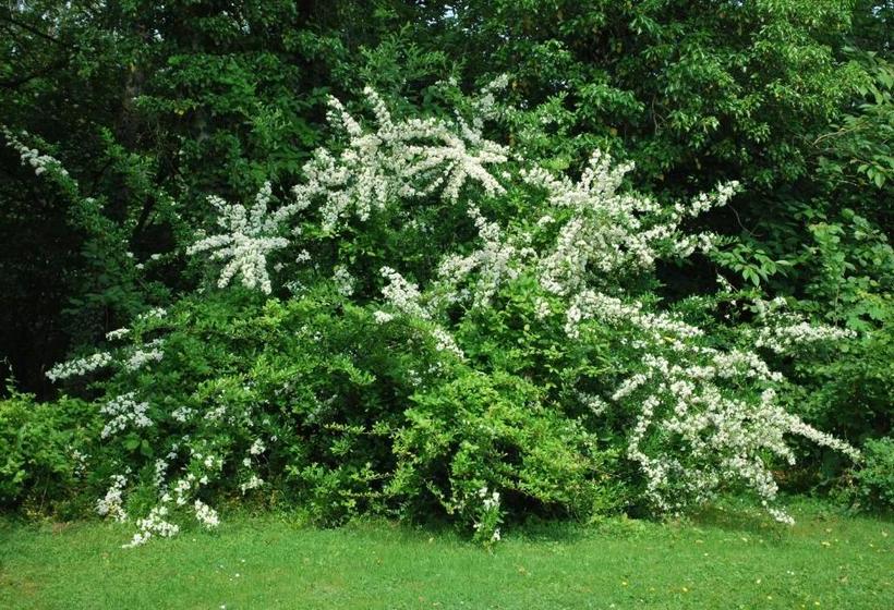 צימר La Monardière