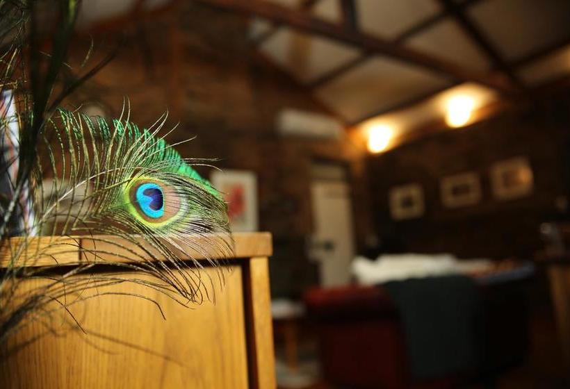 住宿加早餐  William Hunt S Retreat  Redwood Studio