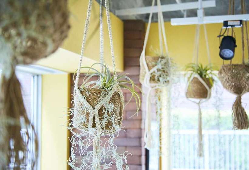 Bed & Breakfast Renga – Hostel