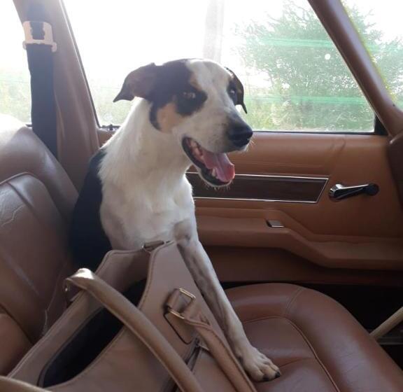 酒店 Augrabies De Oude Stoor Guesthouse