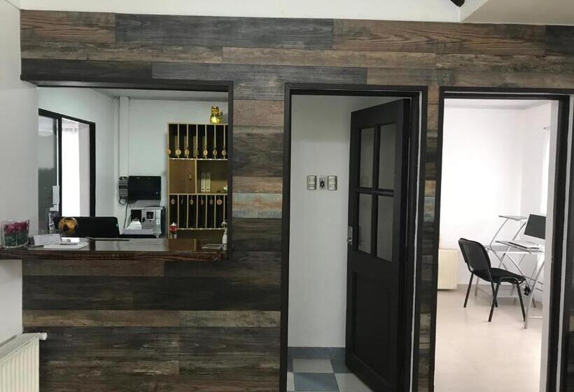 酒店 Aysen Austral