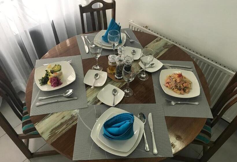 酒店 Aysen Austral