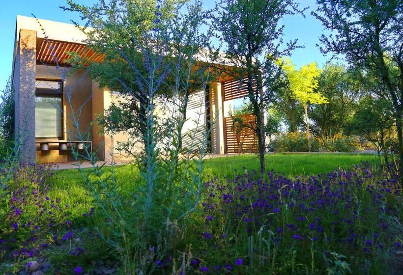 فندق Casa Petrini