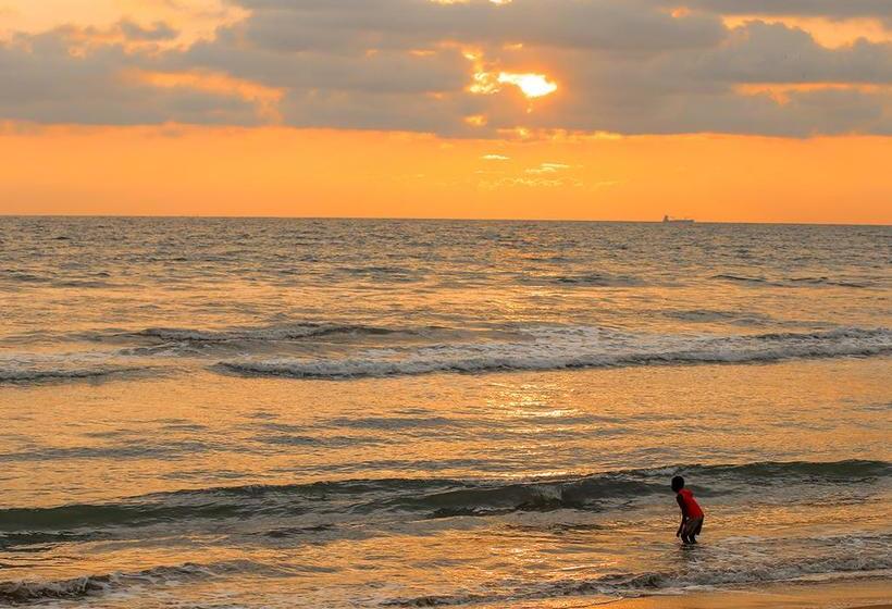 호텔 Clive Garden Beach