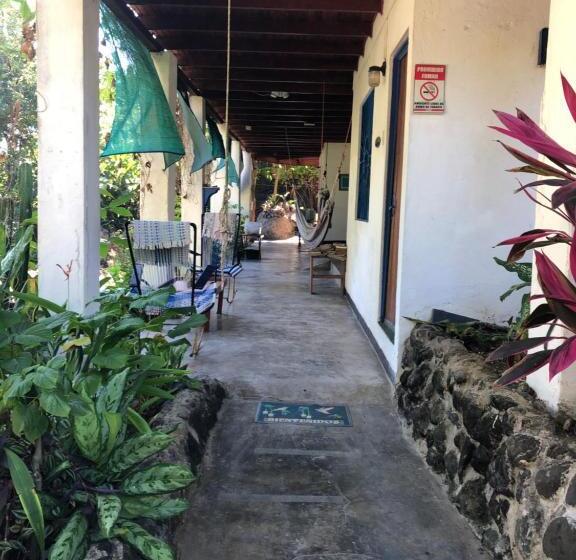 هتل El Pargo Feliz