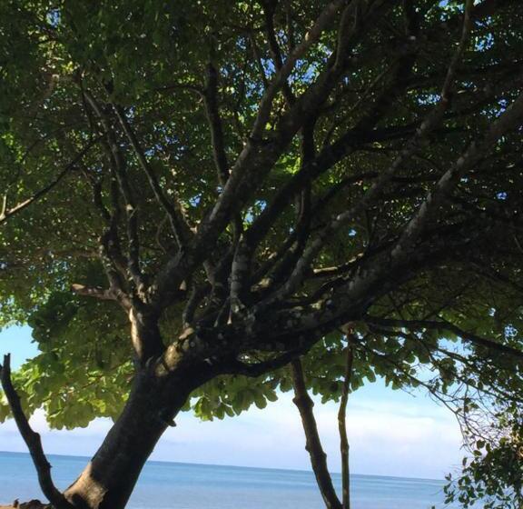 هتل El Pargo Feliz