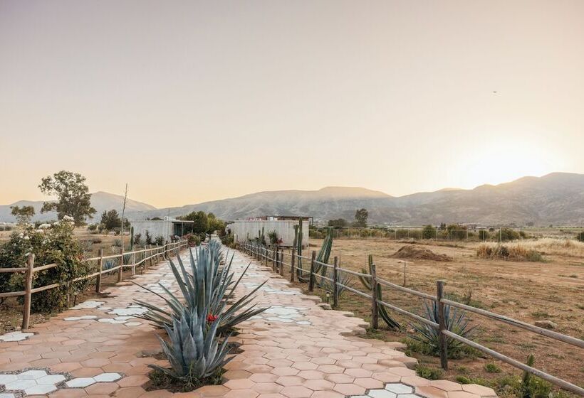ホテル Los Amantes Valle De Guadalupe