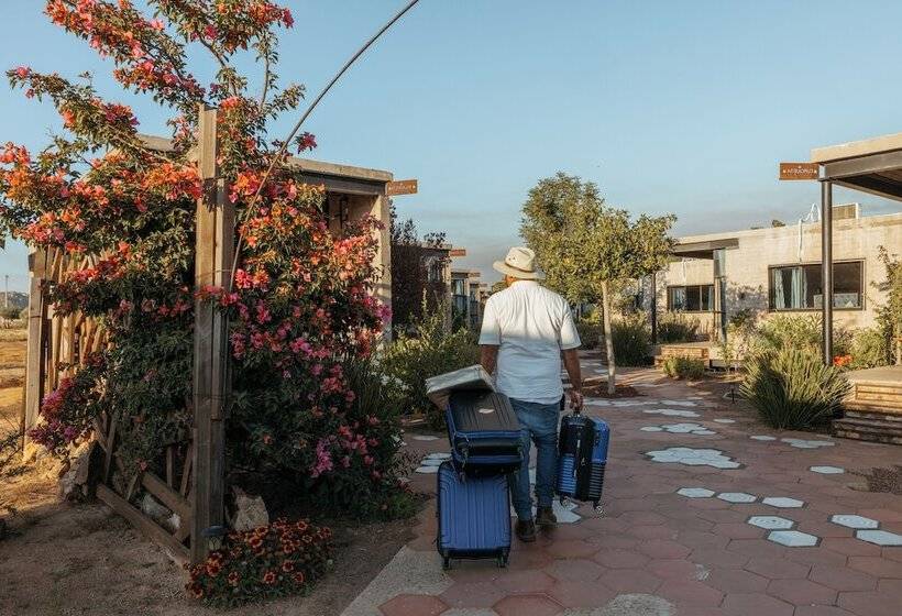 ホテル Los Amantes Valle De Guadalupe