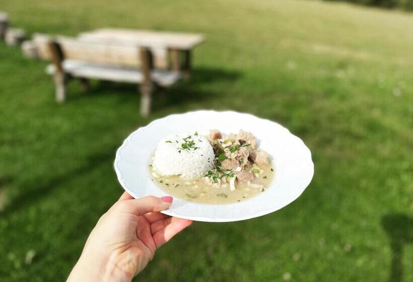 ホテル Penzion Pod Dratnikem