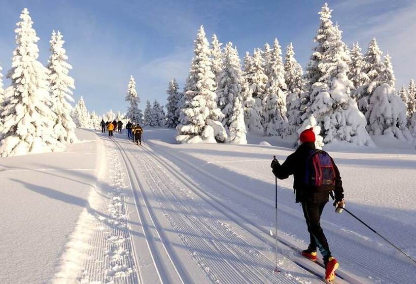 Profamily Hotel Top Benecko