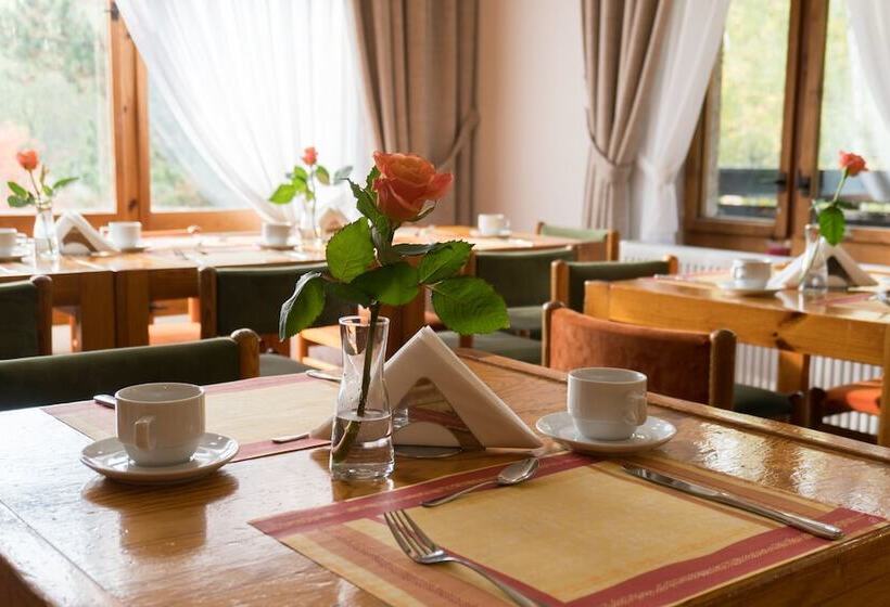 Profamily Hotel Top Benecko