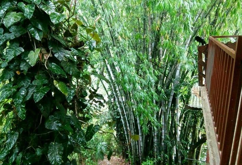 Hotel The Inn On The River