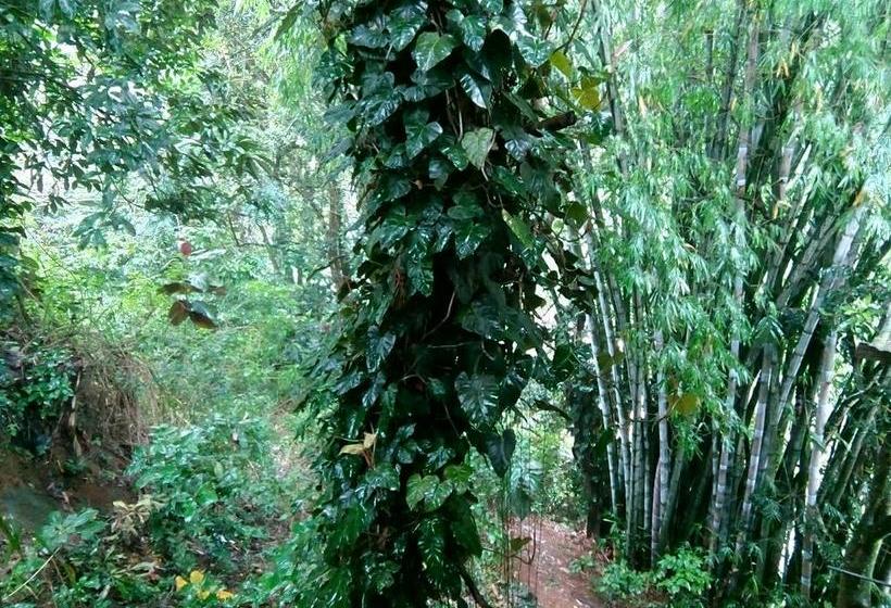 Hotel The Inn On The River