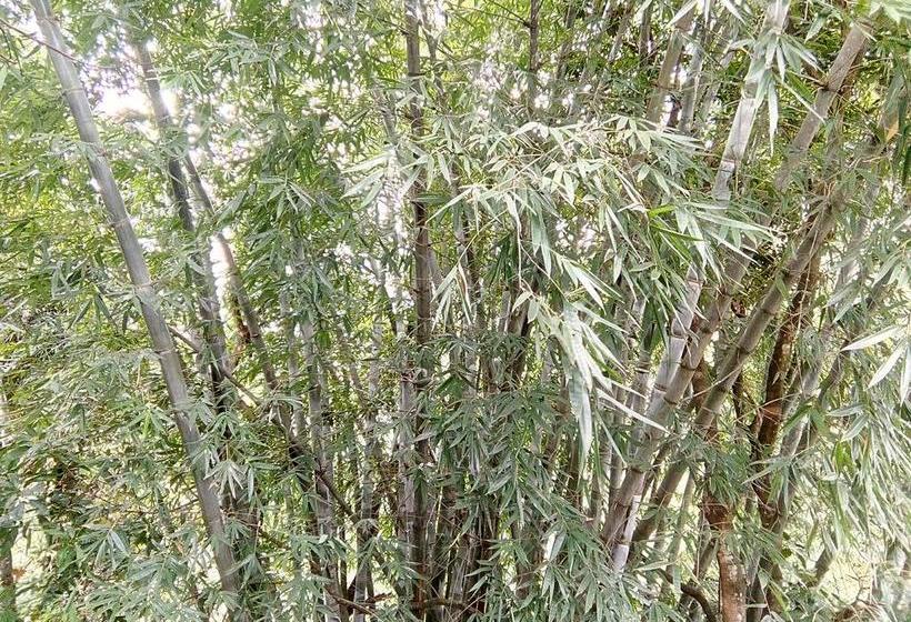 Hotel The Inn On The River