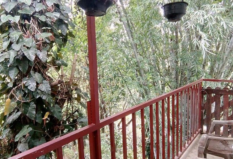 Hotel The Inn On The River