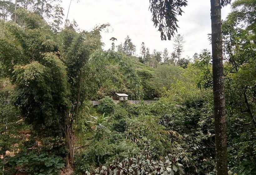 Hotel The Inn On The River