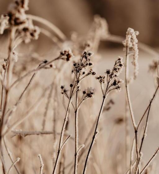 ホテル Stiftsgården Tallnäs