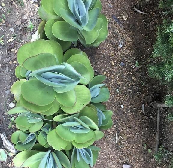 ホテル Sunrise Boutique