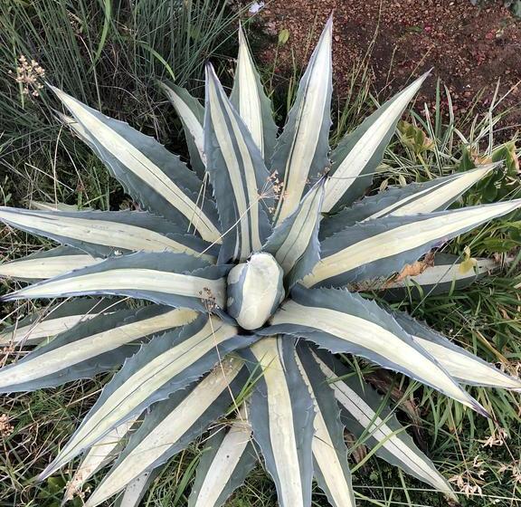 ホテル Sunrise Boutique