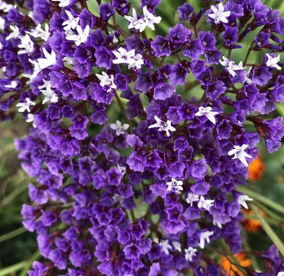 ホテル Sunrise Boutique