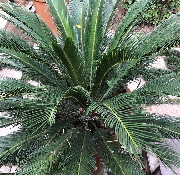 ホテル Sunrise Boutique