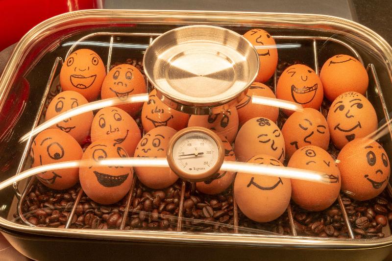 هتل Holiday Inn   The Niu, Franz Vienna, An Ihg