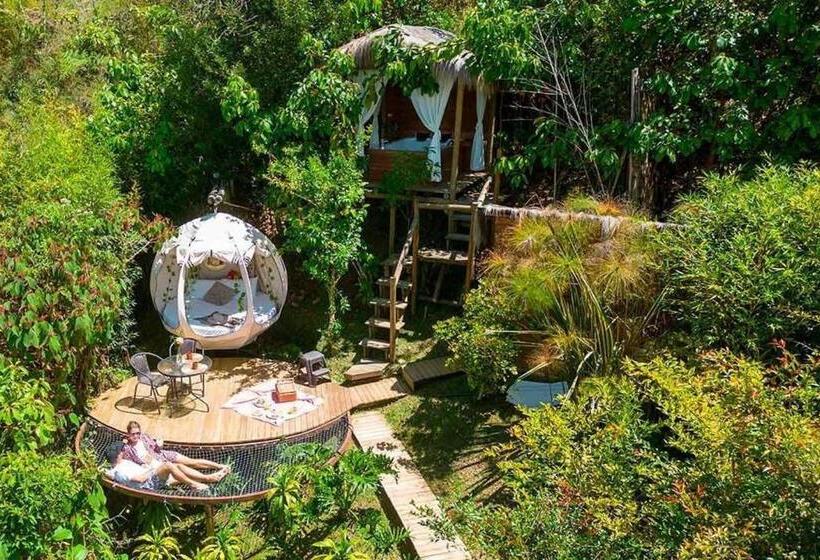 Levit Glamping   Hotel Guatapé Peñol