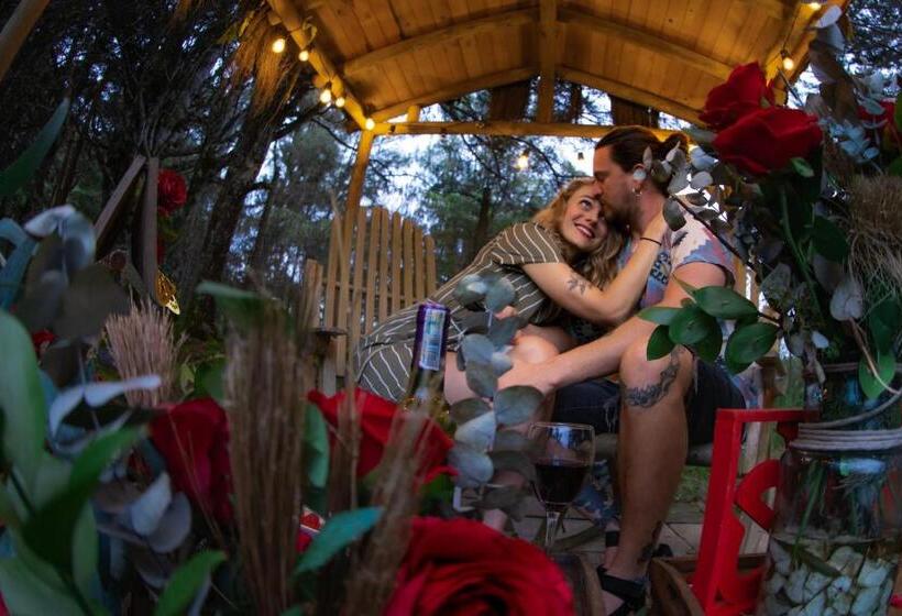 Levit Glamping   Hotel Guatapé Peñol