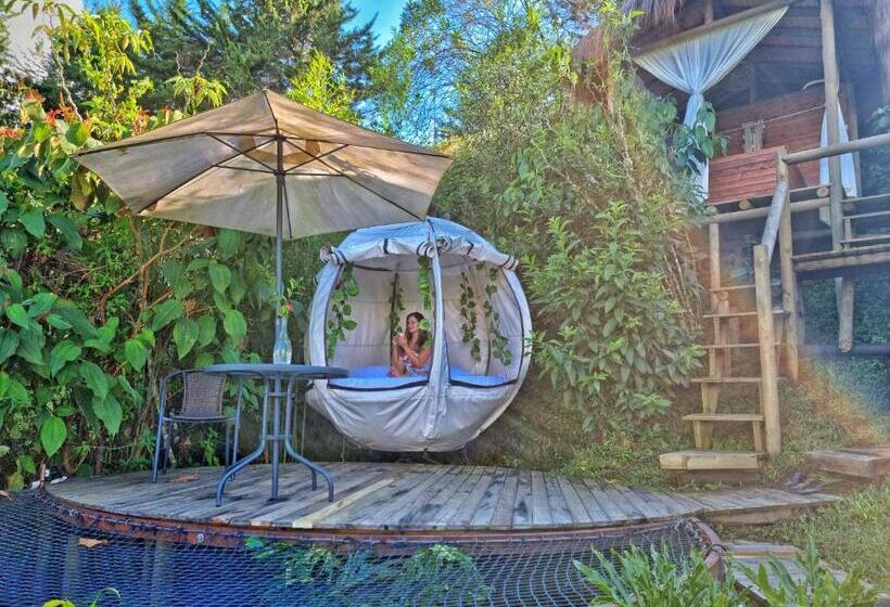 Levit Glamping   Hotel Guatapé Peñol