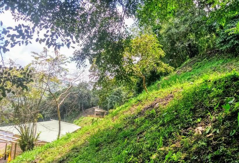 Mandala Hotel Concept