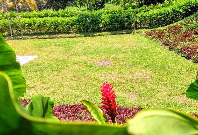 Mandala Hotel Concept