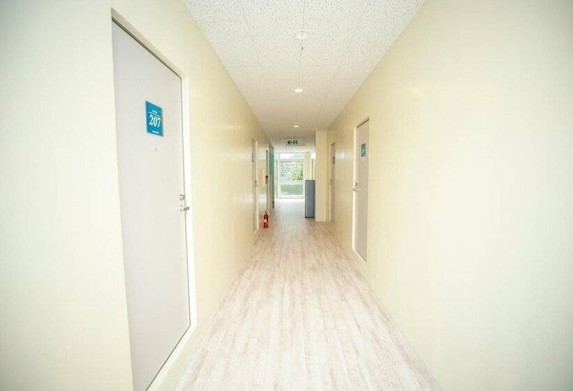 ריוקאן Kamekamehouse