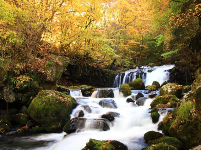 ריוקאן Shirakabako View