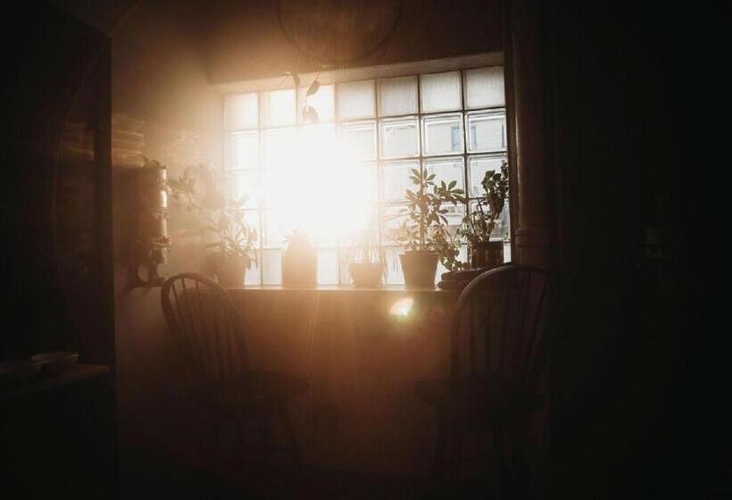 The Haven Hostel