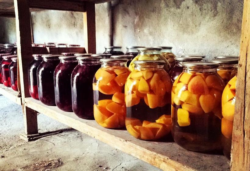 Under The Walnut Tree B&b