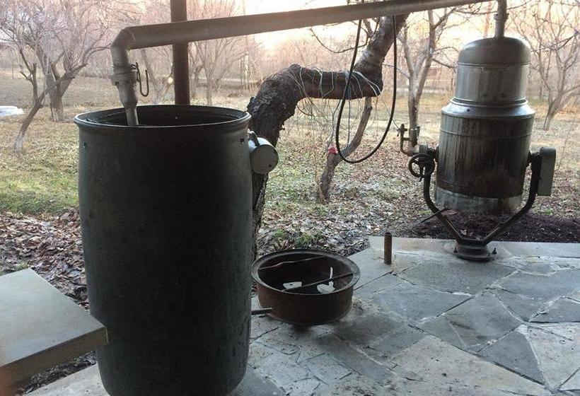 Under The Walnut Tree B&b