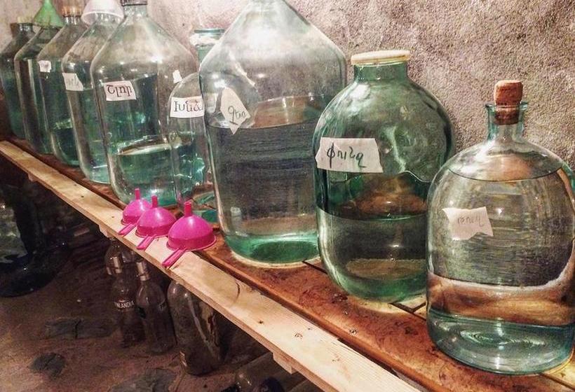 Under The Walnut Tree B&b