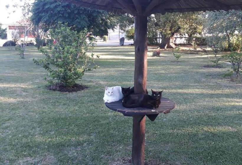 فندق صغير Posada De Campo San Cono