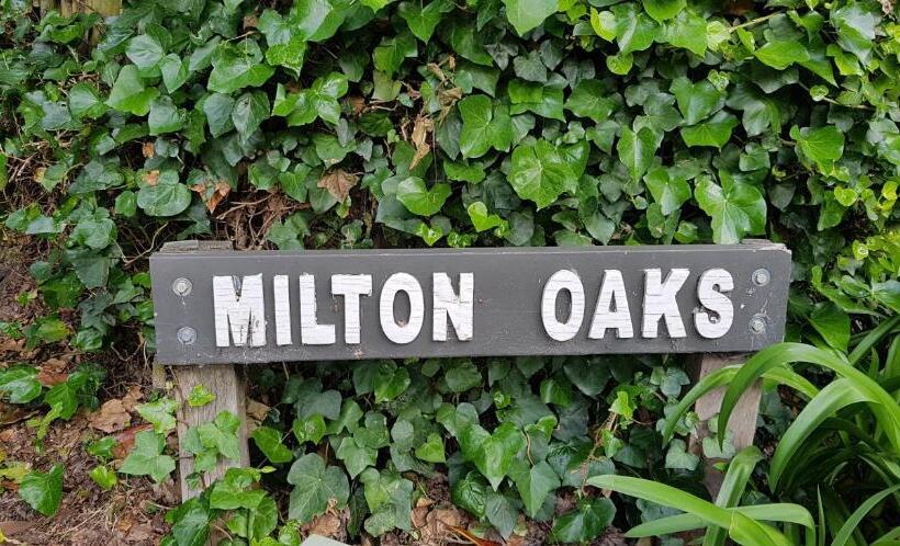 تختخواب و صبحانه Mnm's Bnb