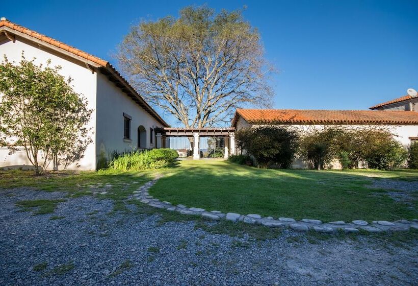 تختخواب و صبحانه Torrontes