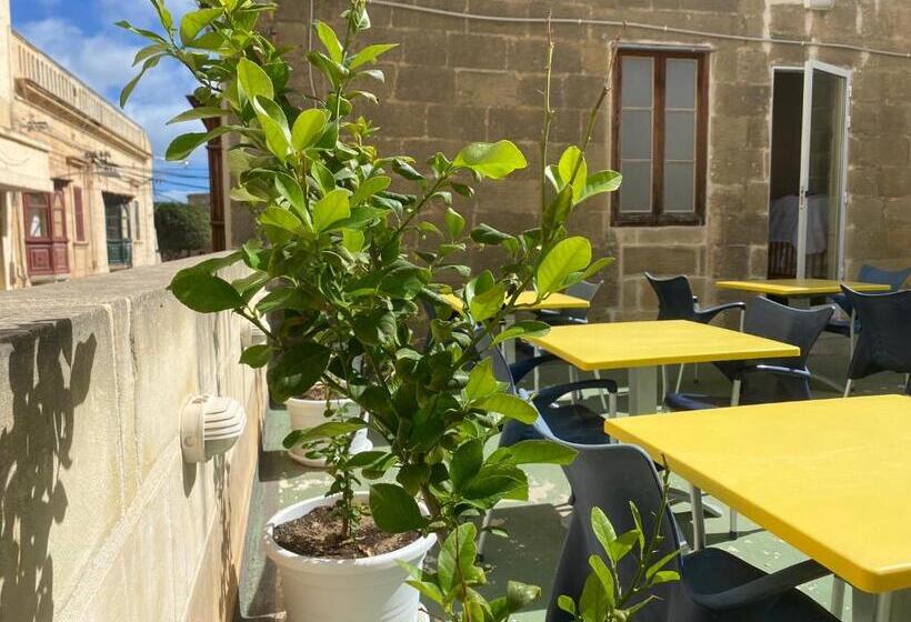 تختخواب و صبحانه Xemx