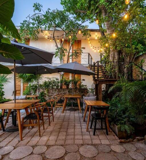 Colonte Hotel Origen