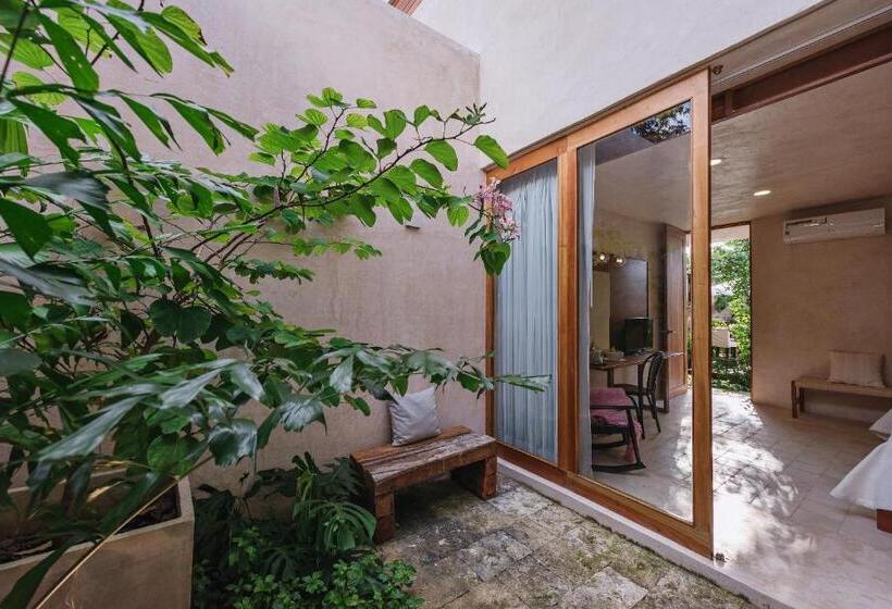 Colonte Hotel Origen