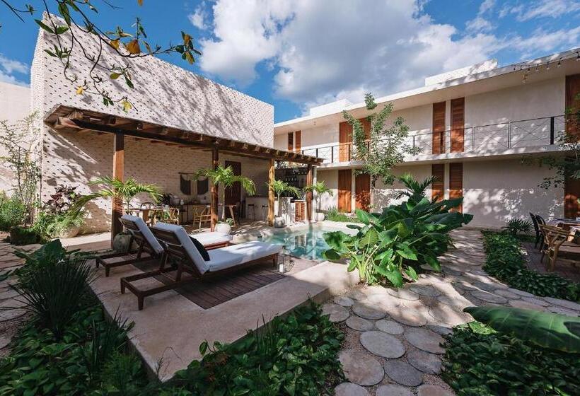 Colonte Hotel Origen