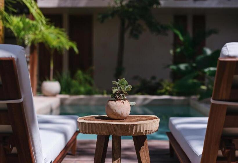 Colonte Hotel Origen