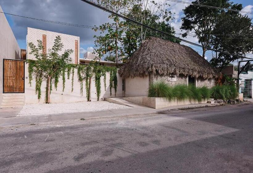 Colonte Hotel Origen