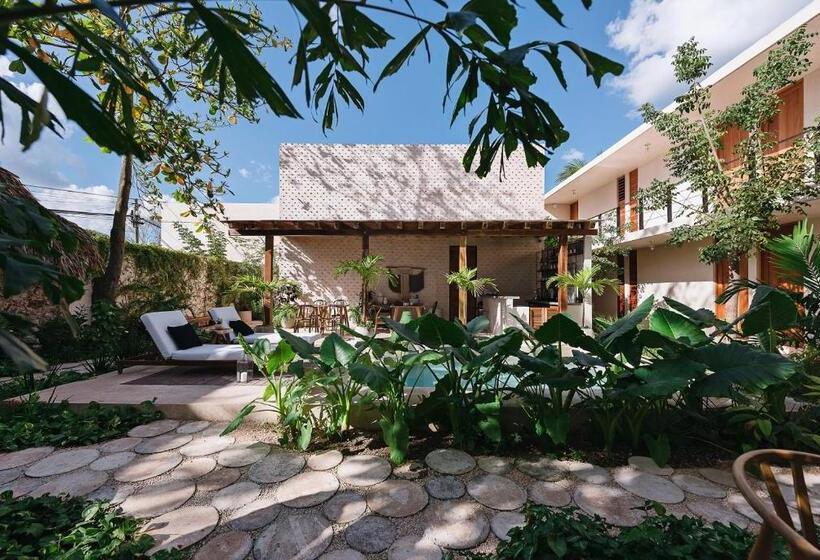 Colonte Hotel Origen