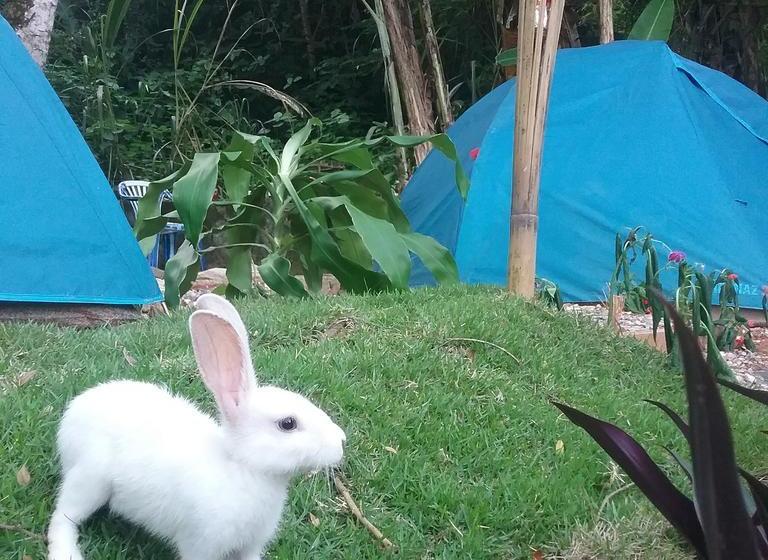 Общежитие Camping Trópico De Capricórnio   Ilhabela
