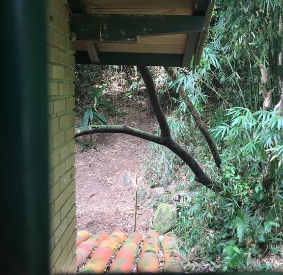 Общежитие Camping Trópico De Capricórnio   Ilhabela